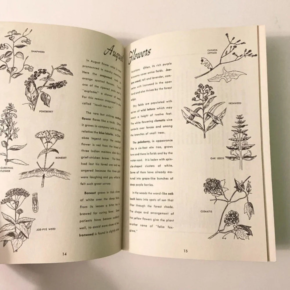 Vintage 1977 Nature Along The Blue Ridge Parkway Travel North Carolina Booklet - Picture 10 of 16